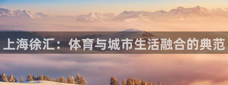 3377体育手机平台：上海徐汇：体育与城市生活融合的典范