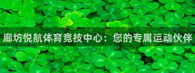 3377体育在线登录官网入口：廊坊悦航体育竞技中心：您的专属运动伙伴