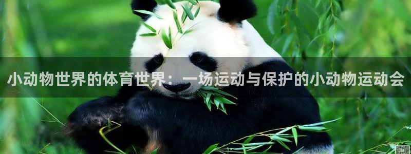 3377体育网页登录入口：小动物世界的体育世界：一场运动与保护的小动物运动会