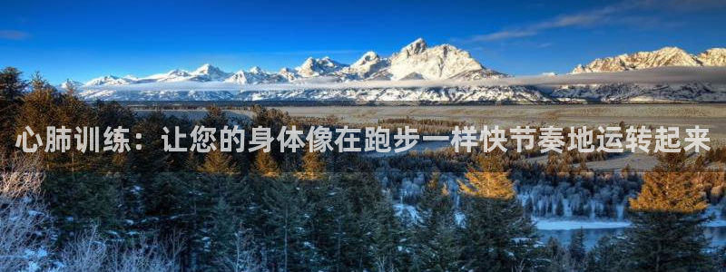 3377体育官方app下载：心肺训练：让您的身体像在跑步一样快节奏地运转起来