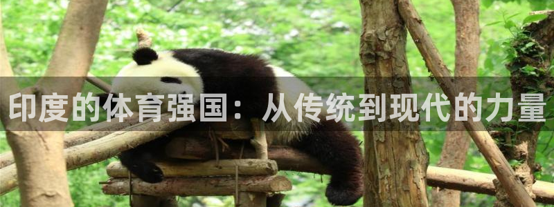 3377体育在线：印度的体育强国：从传统到现代的力量