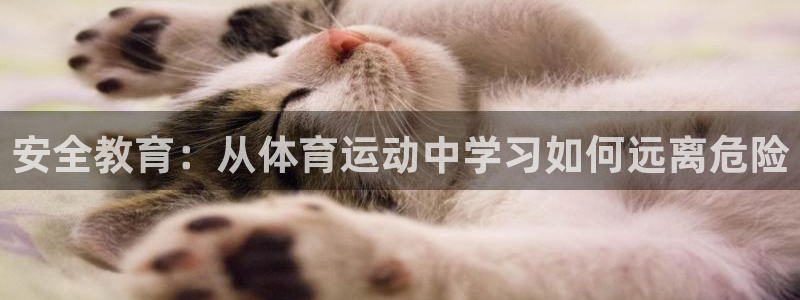3377体育在线：安全教育：从体育运动中学习如何远离危险