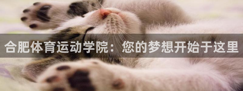 3377体育全网：合肥体育运动学院：您的梦想开始于这里
