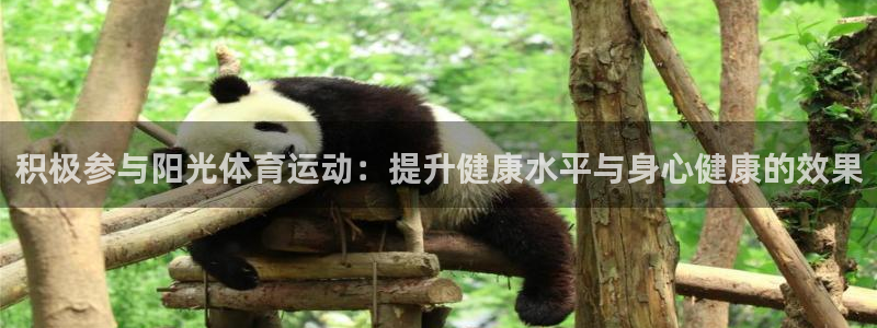 3377体育是正规平台吗：积极参与阳光体育运动：提升健康水平与身心健康的效果