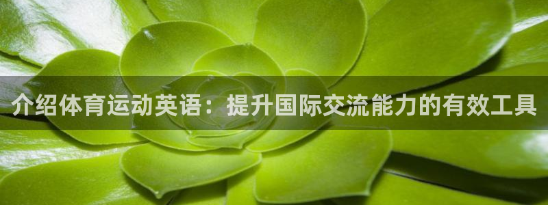 3377体育网页登录入口：介绍体育运动英语：提升国际交流能力的有效工具