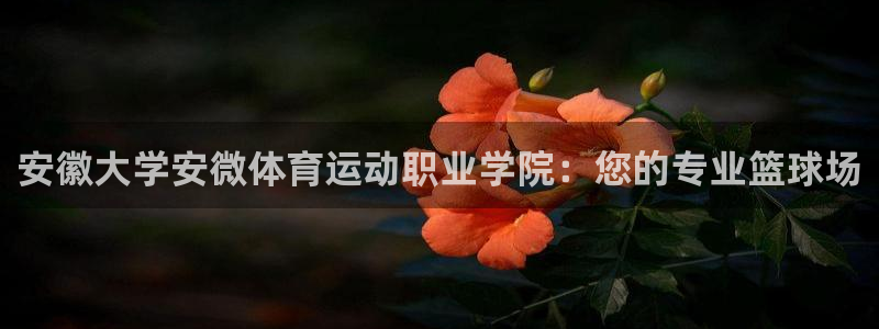 3377体育com：安徽大学安微体育运动职业学院：您的专业篮球场