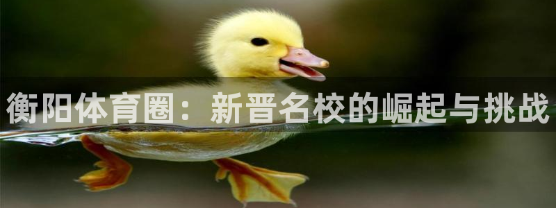 3377体育app官网下载地址：衡阳体育圈：新晋名校的崛起与挑战