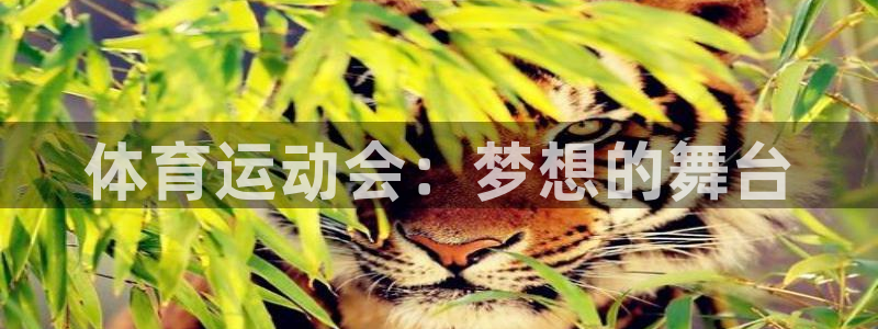 3377体育全网：体育运动会：梦想的舞台