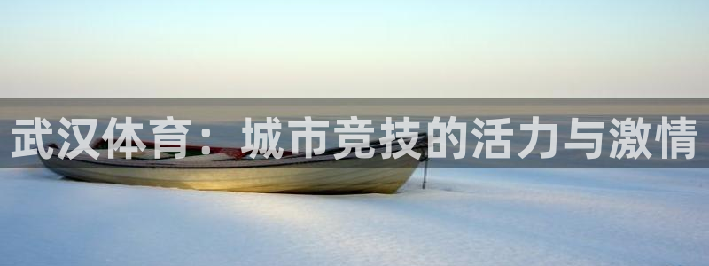 3377体育平台：武汉体育：城市竞技的活力与激情