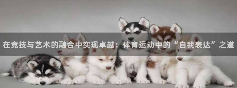 3377体育官网下载：在竞技与艺术的融合中实现卓越：体育运动中的“自我表达”之道