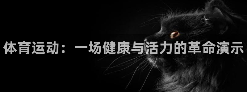 3377体育靠谱吗：体育运动：一场健康与活力的革命演示