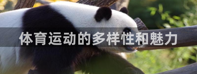 3377体育官网入口网页版：体育运动的多样性和魅力