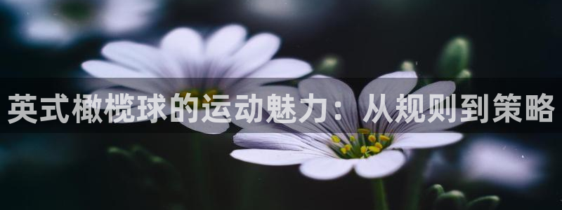 3377体育是正规的吗：英式橄榄球的运动魅力：从规则到策略